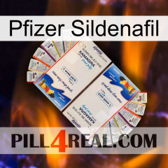 Pfizer Sildenafil kamagra1